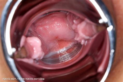 Tokyo Hot N E Alice Ozawa Porn Pic