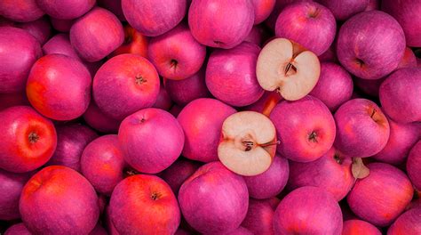 Почему мой принтер печатает с пурпурным оттенком?