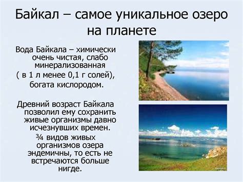Жемчужина Сибири - Байкал. Урок-путешествие - презентация онлайн