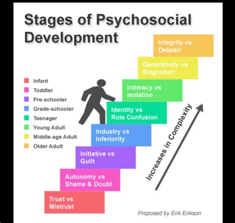 Erik Erikson Stages Of Development Erik Eriksons Stages Of Images