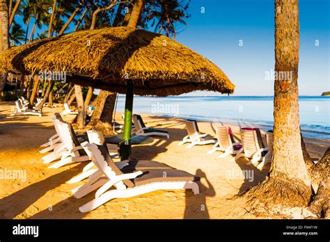 Palm Trees Sandy Beaches And Clear Water On The Island Of Fiji In The