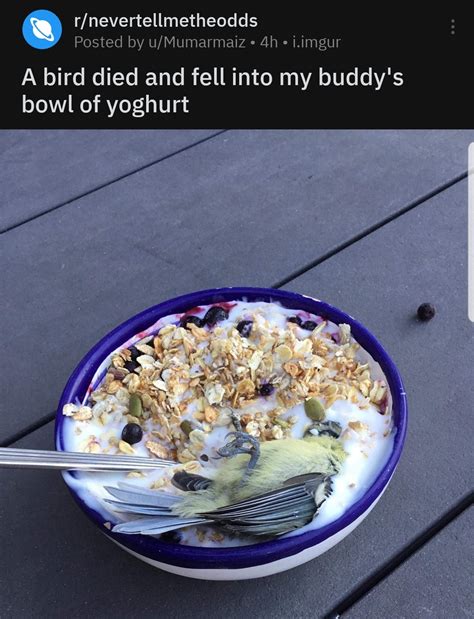 FUCK YOUR CEREAL R FUCKYOUINPARTICULAR