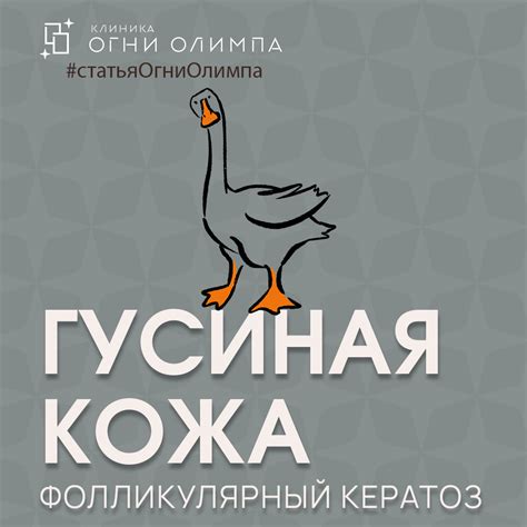 Гусиная кожа у человека на руках и ногах - Трушина Анна Алексеевна ...