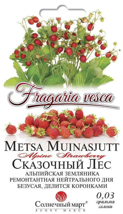 Семена Земляники Сказочный Лес Купить (6 Грн)