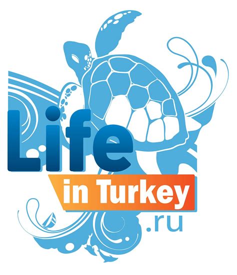 Life in Turkey - 5000 евро за 1 килограмм меда? Именно столько стоит ...