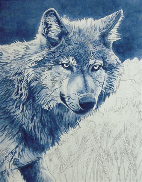 Alan Hawley Illustration Wolf Acrylic Painting