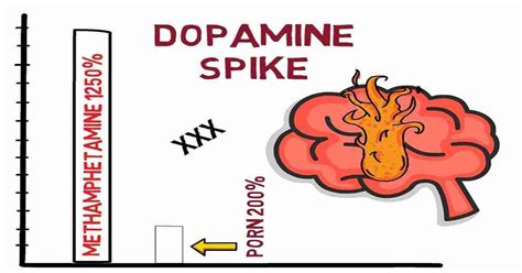 Can The Brain Heal From Porn Use PMO Flatline