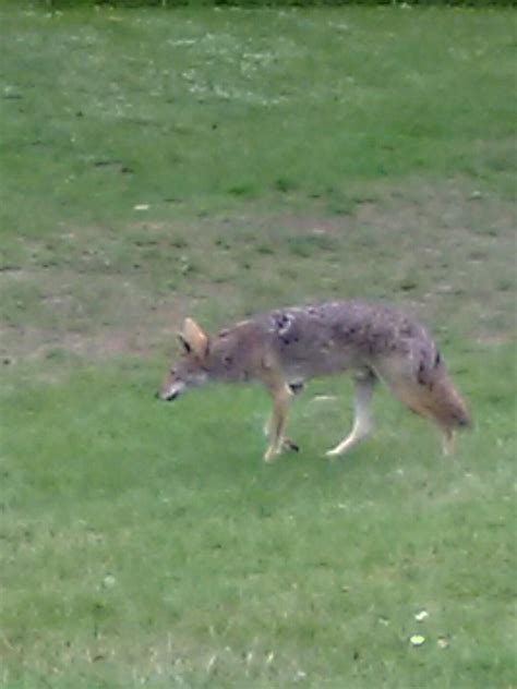 More trees and trails will soon expand st mary's park nyc 13