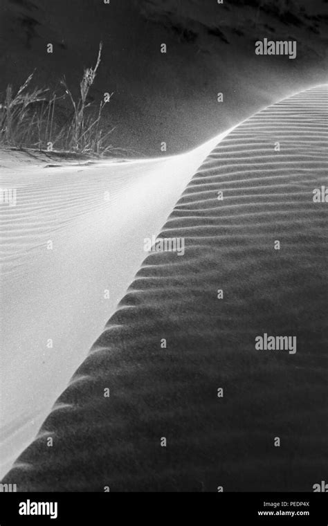 Les Plus Hautes Dunes Du Monde Banque D Images Noir Et Blanc Alamy