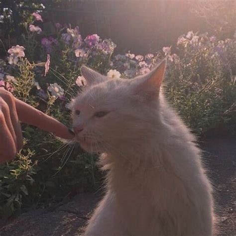 Милые Эстетичные Картинки - 68 фото