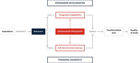 Spinnaker Program Bip Consulting
