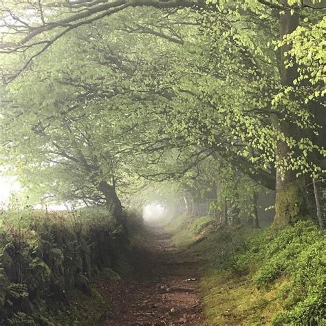 Talk Ancient Tracks On Dartmoor Ashburton Arts Centre — Dartmoor S Daughter Walks And Nature