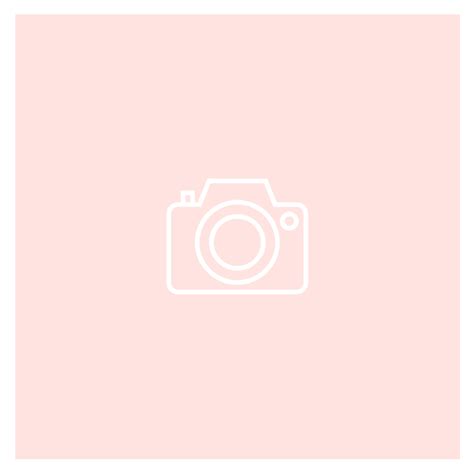 Pink Camera Icon at Vectorified.com | Collection of Pink Camera Icon ...