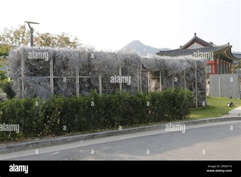 Flash Wall Park Ki Won A Shiny And Glittery Wall Meaning Hope And