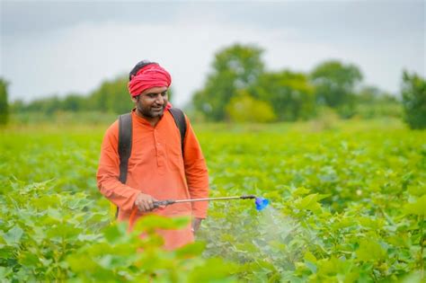 Premium Photo Indian Farmer Spraying Pesticide At Cotton Field