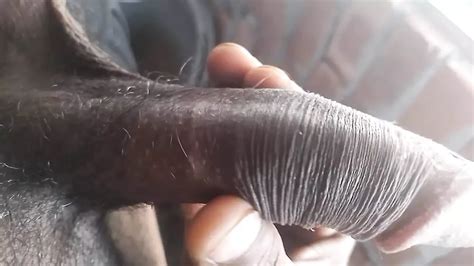 Big Black Cock Masturbation Desi Girl Kissing Desi Big Black Cock And Fuckes By Hard Dick Gay