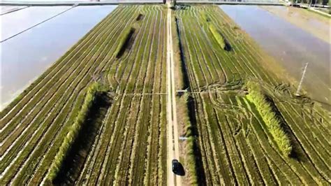 Huge Tits Latina Fucked On The Terrace