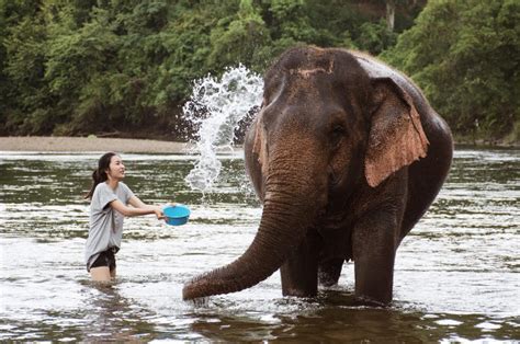 Những cô nàng hot girl không bao giờ chịu ở yên 1 chỗ sẽ khiến bạn muốn đi du lịch ngay tức thì