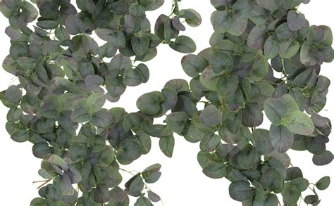 Amazon Supla 2 Pack 12 In Total Faux Eucalyptus Garland