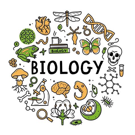 Biology Border Vector Art Icons And Graphics For Free Download
