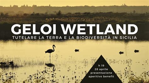 Gancio Geloi Wetland La Tutela Della Biodiversit In Sicilia