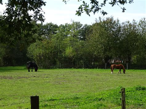 Het Hulsbeek Oldenzaal Gerritwijers Flickr