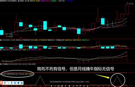 月线n形态 月线擒牛战法指标、选股公式、股票池参数设置与使用。股票池骏哥股市会