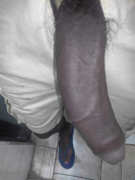 Sri Lankan Big Cock Lankan Bull Nude Pics XHamster