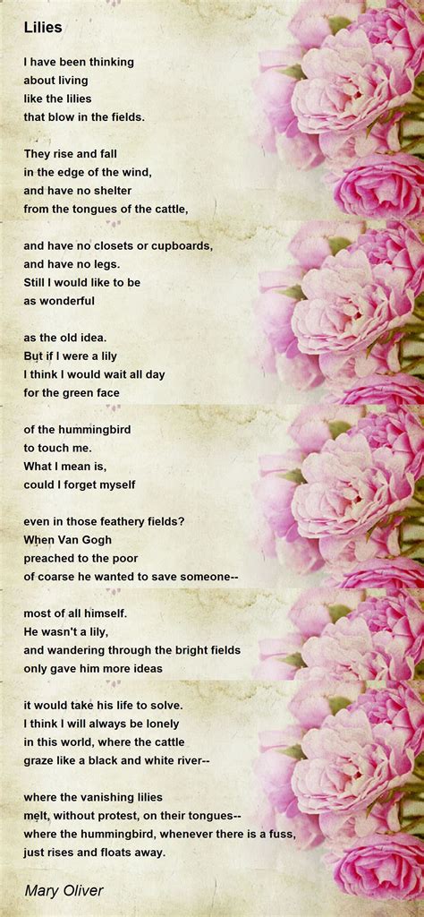 Lilies Lilies Poem By Mary Oliver