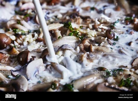 Creamy Mushroom Sauce for Pasta Stock Photo - Alamy