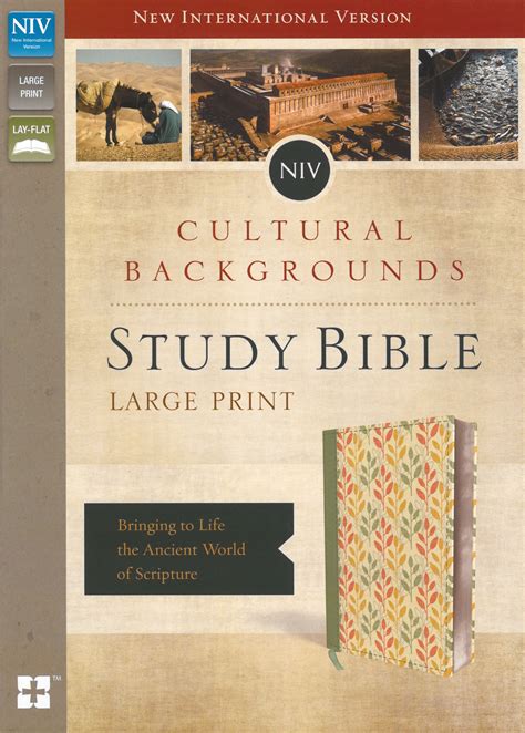 Niv Cultural Backgrounds Study Bible Pdf – MQTBGW