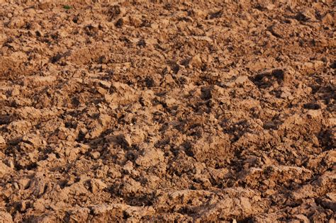 Soil Texture Free Stock Photo - Public Domain Pictures