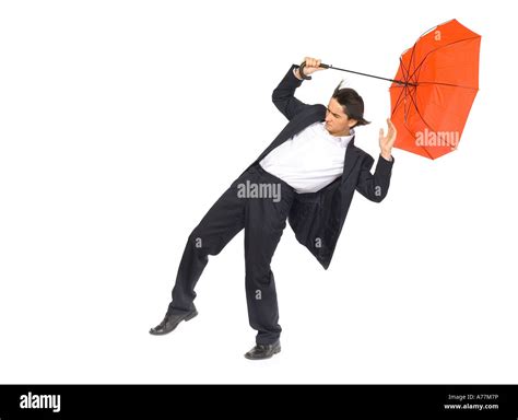 fighting  wind cut  stock images pictures alamy