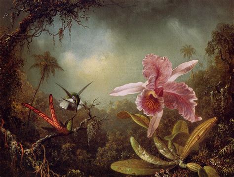 Orchid with Two Hummingbirds - Martin Johnson Heade - WikiArt.org ...