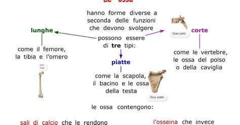 Paradiso Delle Mappe Le Ossa