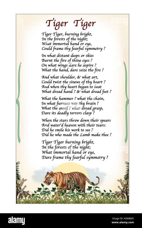 Tiger Tiger Poem William Blake Hi Res Stock Photography And Images Alamy