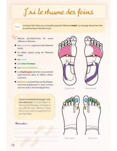 Mon Cahier De R Flexologie Plantaire Se Soigner Par Les Pieds