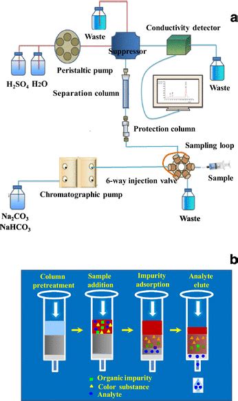 Chromatography Label Diagram