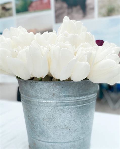 How to Plant Tulip Bulbs in Fall - Country Corner