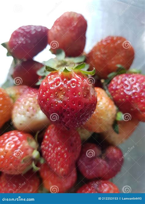 Soft Rot Disease Injured on Strawberry Fruit in Viet Nam. Stock Image