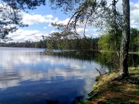 Озеро Чистик (75 фото)