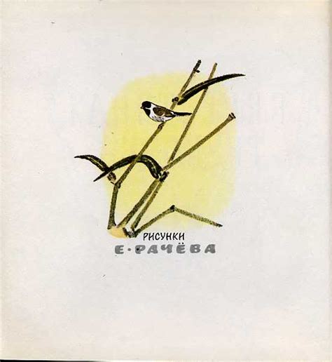 Пришвин, М. М. Берестяная трубочка. Рассказы. Художник Е. Рачев. М ...