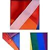 Amazon Rainbow Flag Gay Pride Flags X Foot Polyester Silk Printed Bright And