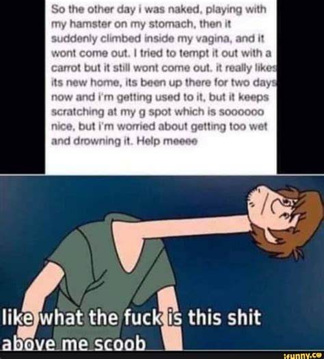 So The Other Day I Was Naked Playing With My Hamster On My Stomach Then It Suddenly Climbed