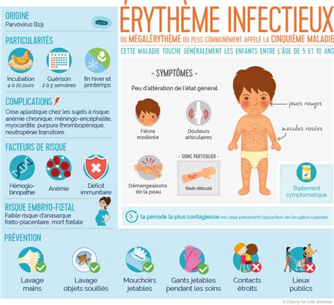 Érythème infectieux Mégalérythème Cinquième maladie