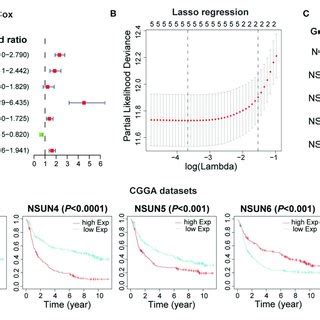 Construction Of The Risk Score Signature Using Five RNA M 5 C