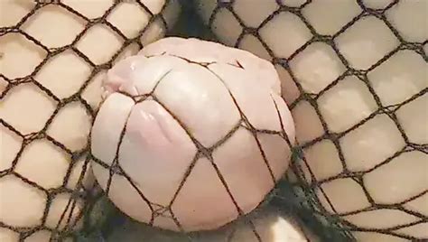 Pierre Pine La Salope Qui Couine Suite Shemale Porn 9d XHamster