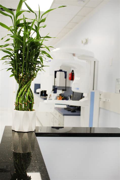 Gallery - Castillo Dental Group Corp