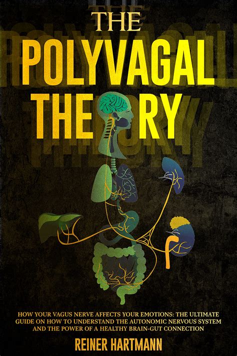 The Polyvagal Theory How Your Vagus Nerve Affects Your Emotions The