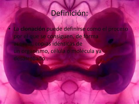 Trabajo De Biologia La Clonacion Ppt